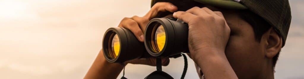 9 Best 10x42 Binoculars - Get a Clear View Even in Low Light Conditions