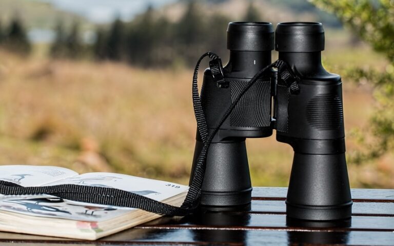 binoculars for alaska cruise
