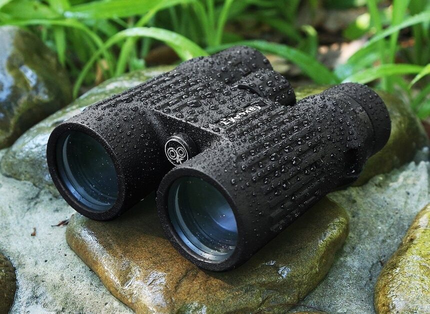 10 Best Binoculars under $500 – Sharp Image and Rugged Design! (Summer 2022)