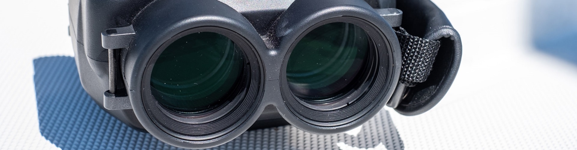 7 Best ImageStabilized Binoculars (Jan. 2021) The Complete Guide