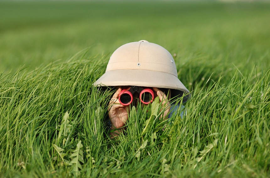 8 Best Safari Binoculars - Don't Skip A Thing! (Fall 2022)
