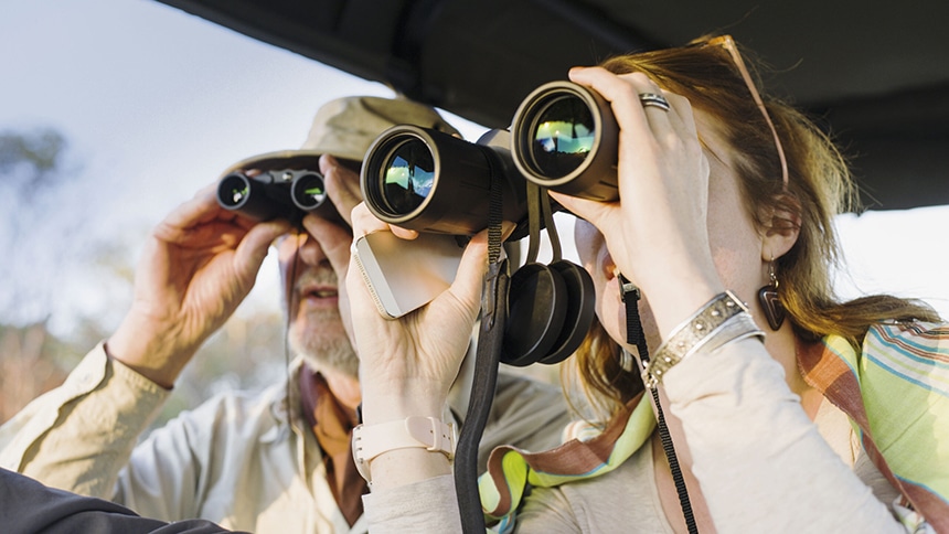 8 Best Safari Binoculars - Don't Skip A Thing! (Summer 2022)