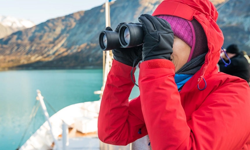 5 Best Binoculars for Whale Watching – The Clearest Vision and Greatest Excitement (Winter 2023)