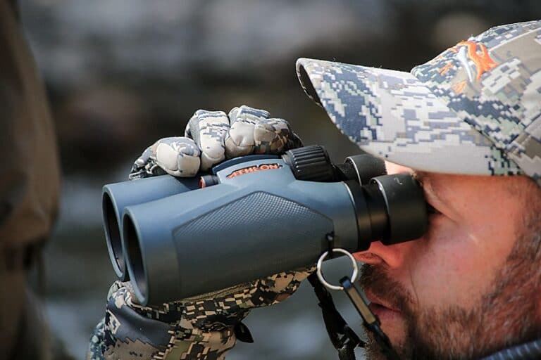 5 Best Binoculars for Whale Watching (Spring 2024) The Complete Guide