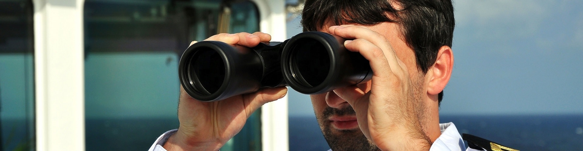 5 Best Binoculars for Whale Watching (Nov. 2020) The Complete Guide