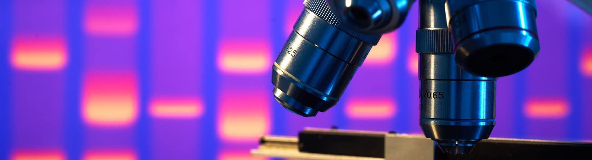 6 Best Microscopes for Students (Feb. 2021) – The Complete Guide