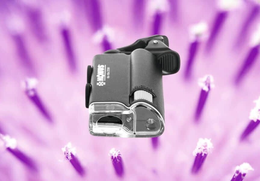 5 Best Pocket Microscopes (Sept. 2021) The Complete Guide
