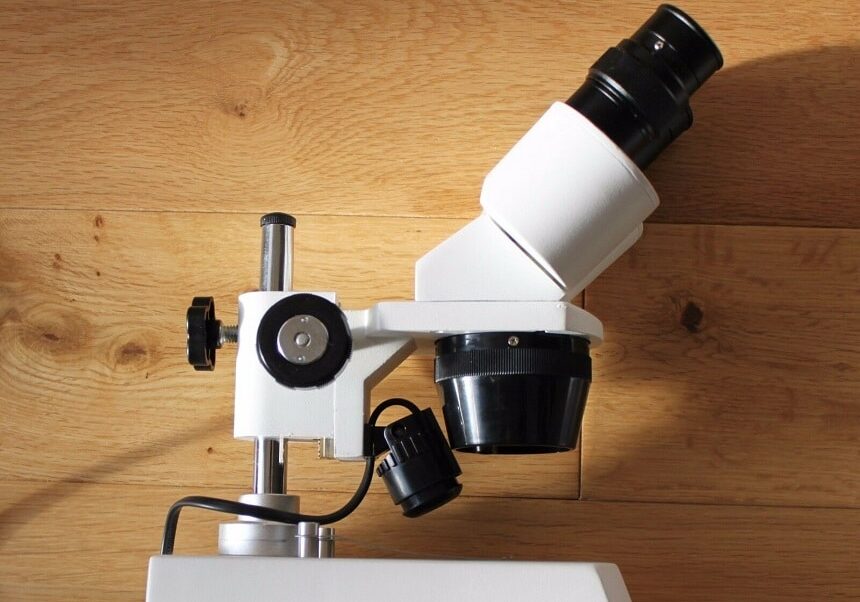 4 Best Stereo Microscopes - Three-Dimensional Images Under Your Control