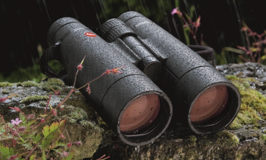 6 Best Binoculars for Wildlife Viewing – Get Closer to Nature! (Fall 2022)