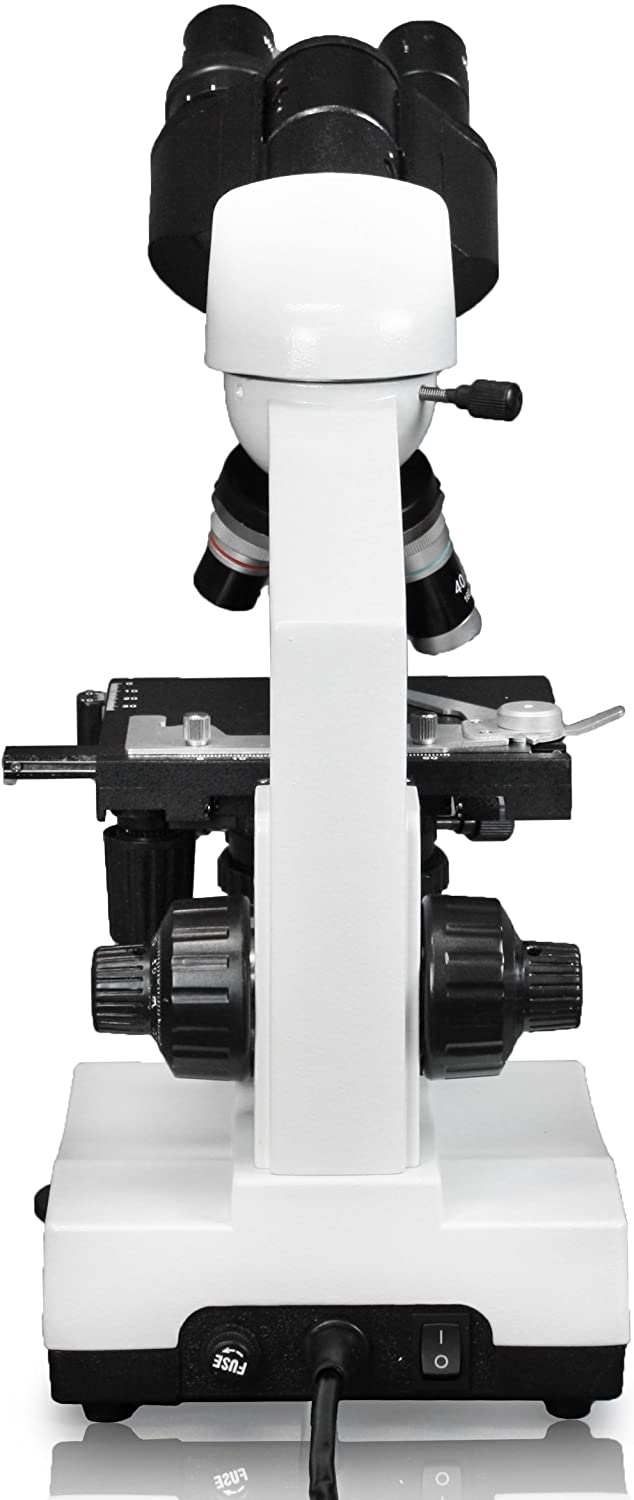 10 Best Compound Microscopes (Aug. 2021) The Complete Guide