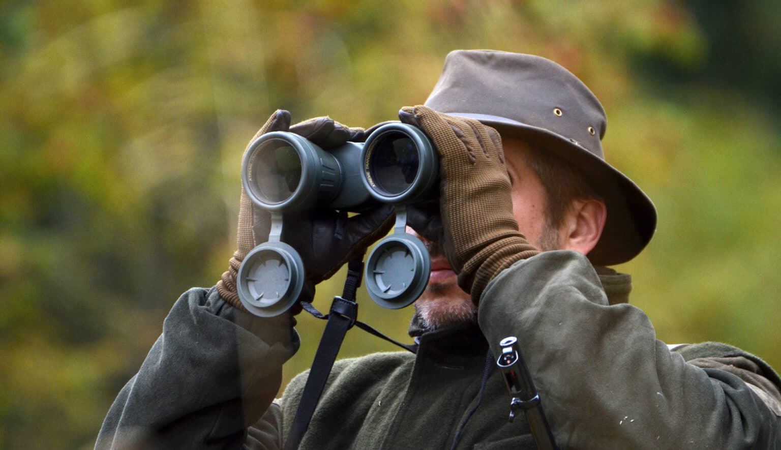 5 Best Binoculars for Whale Watching (Jan. 2021) The Complete Guide