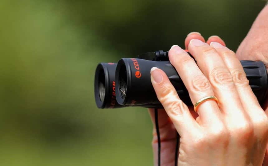 8 Best Binoculars under $50 - Inexpensive yet Effective (Winter 2023)