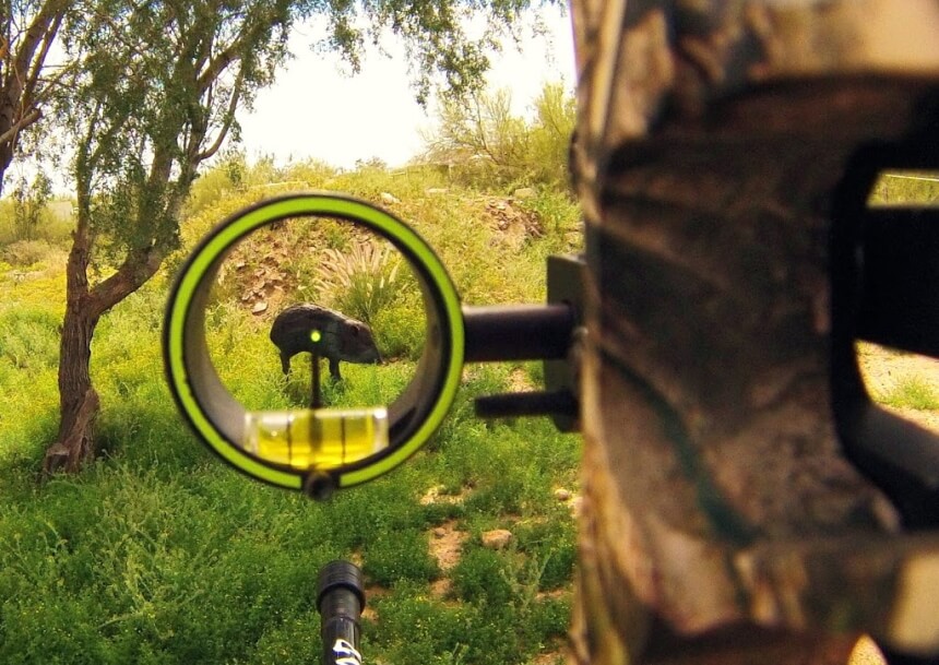 15 Best Bow Sights - High Technology at Hand (Fall 2022)