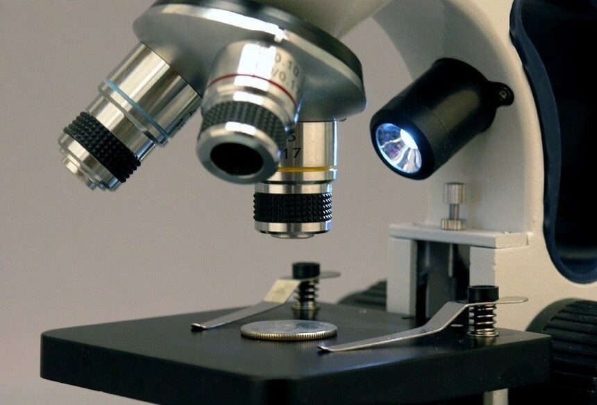 10 Best Compound Microscopes – High-End Devices with Excellent Magnification! (Winter 2023)