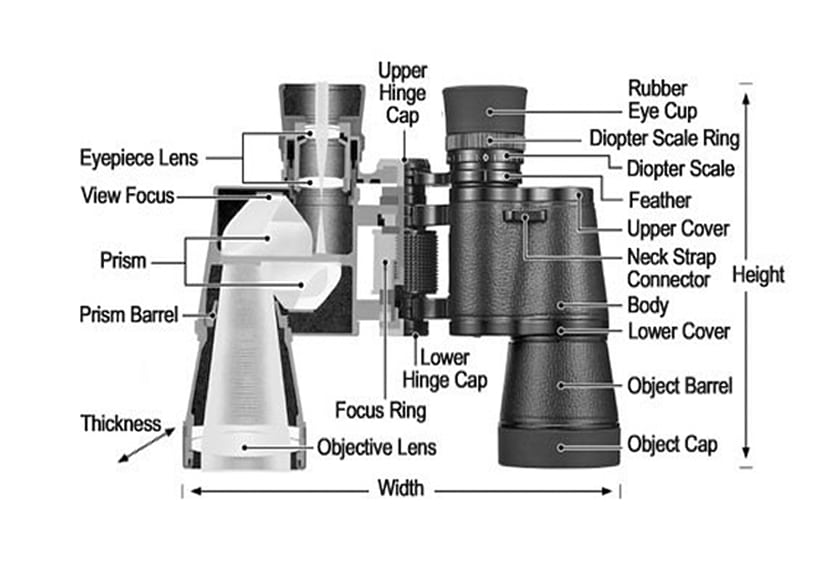 Binoculars vs. Monoculars
