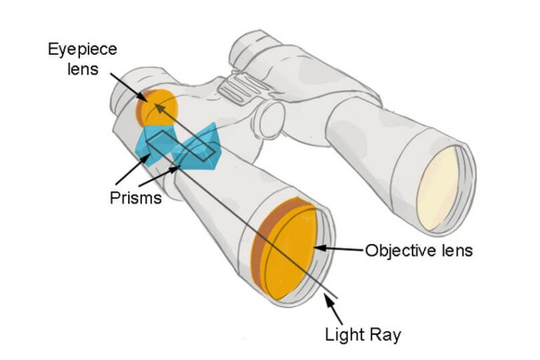 What do numbers on binoculars mean a detailed guide upd 2021 