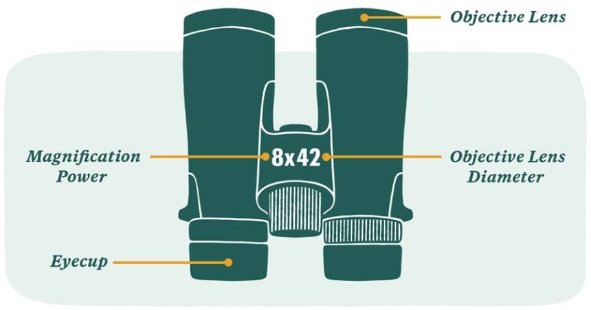 What Do Numbers on Binoculars Mean?