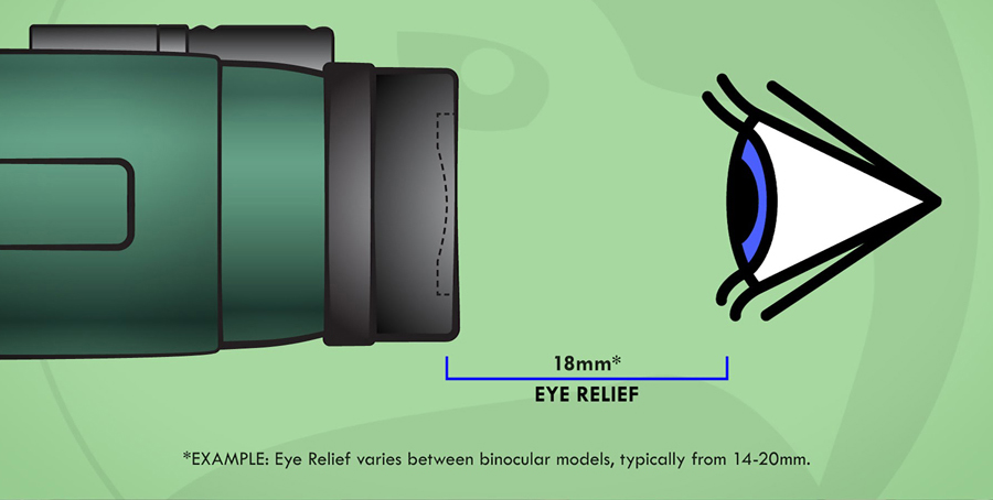 How to Use Binoculars with Glasses?