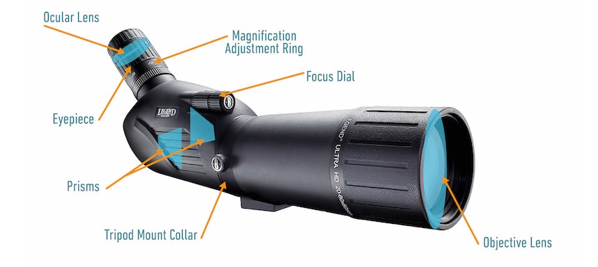 Spotting Scope vs Binoculars: Best Use, Pros and Cons