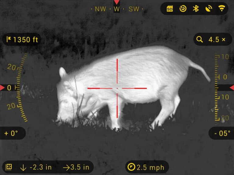 How Does a Rifle Scope Work? Everything You Need to Know [Upd. 2021]