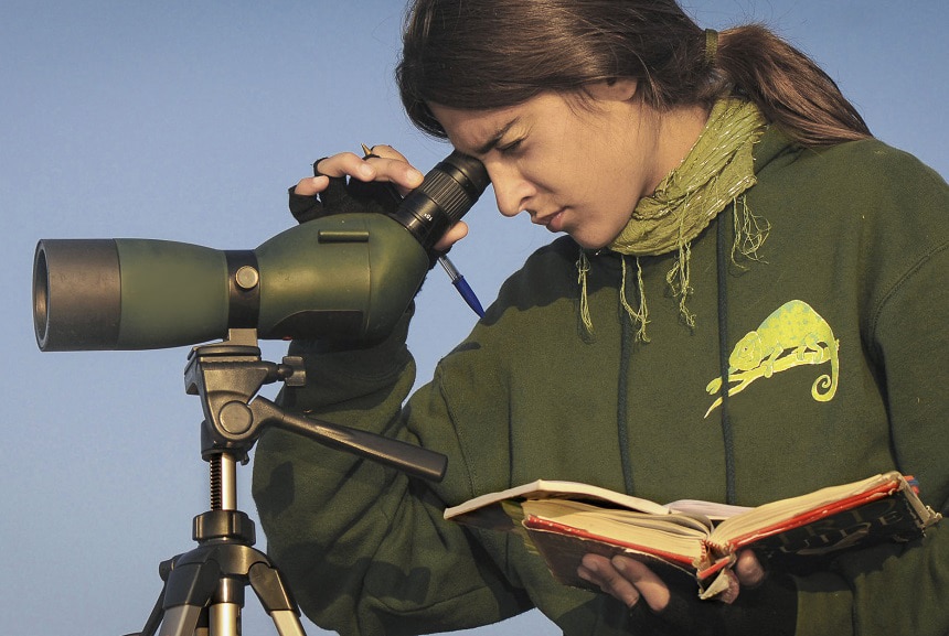 Angled vs Straight Spotting Scope: Which One to Choose?