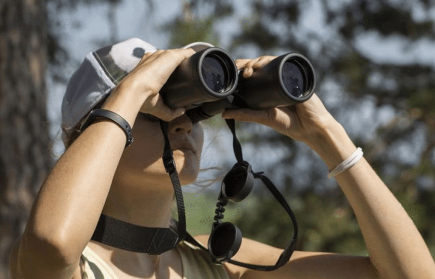 8 Best Binoculars under $100 That Don't Compromise on Quality (Winter 2023)