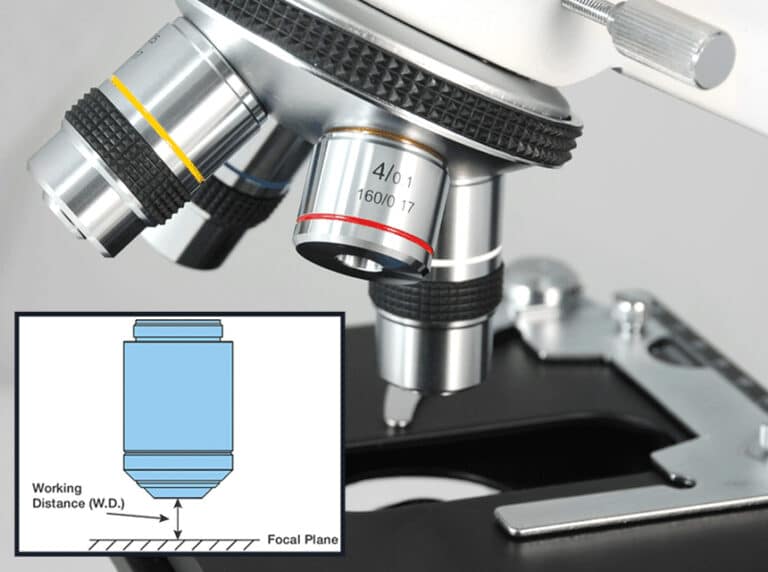 Compound Vs Stereo Microscope What They Do And How They Differ