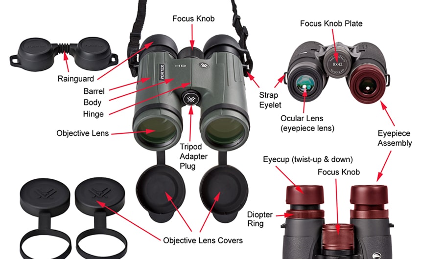 How to Collimate Binoculars? Terminology and Step-by-Step Guide!
