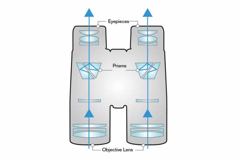 Roof Prism vs Porro Prism InDetail Comparison!