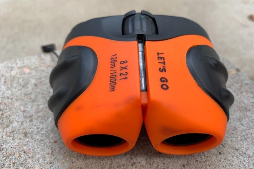 6 Best Binoculars for Kids - Close-Up on the Nature (Fall 2022)