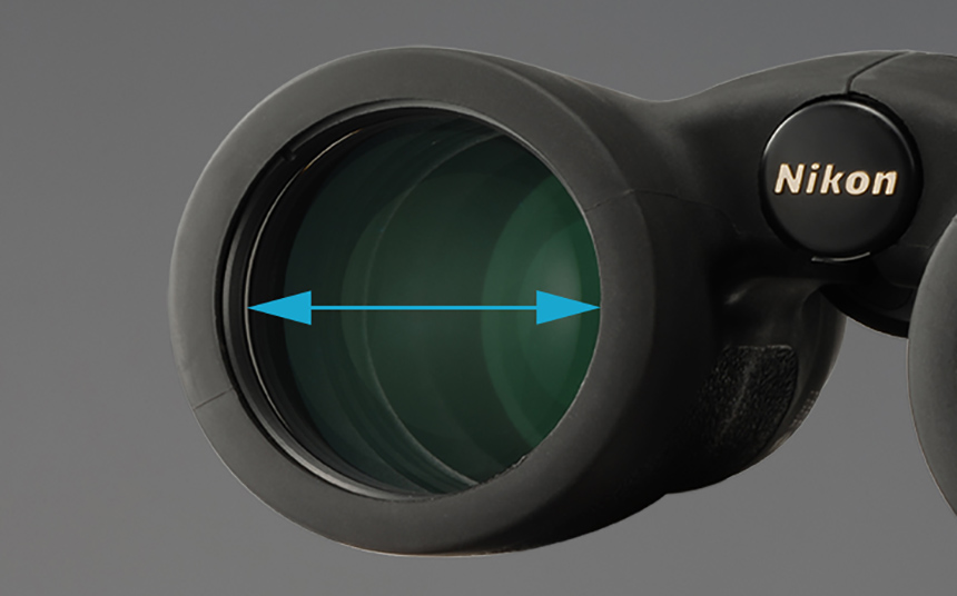 9 Best Nikon Binoculars - High-Quality Equipment from Trusted Manufacturer (Summer 2022)